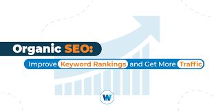 organic seo