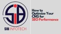 cms seo