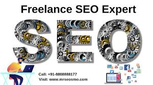 freelance seo expert